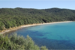 316-Le coste della Toscana-Cala-Violina