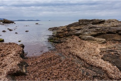 322-Le coste della Toscana-Cala-Violina