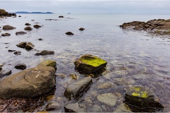 324-Le coste della Toscana-Cala-Violina