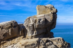 374 -Le- coste- della-Toscana-Populonia-Le-rocce