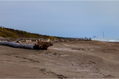 -Le coste della Toscana-Oasi di -Burano-Panorama-sud