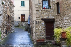 1_118 Le Fumarole -  Sasso Pisano