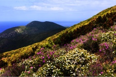 103- Isole della toscana -   Isola d'Elba