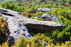 148.- Isole della toscana -   Isola d'Elba -I-mostri-di-pietra