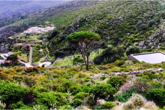 168- Isole della Toscana - Capraia.-Carcere