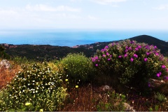 1_102- Isole della toscana -   Isola d'Elba