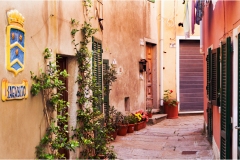 1_134- Isole della toscana -   Isola d'Elba