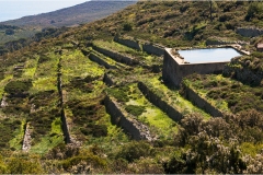 1_166- Isole della Toscana - Capraia