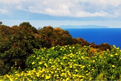 1_38- Isole della toscana -   Isola d'Elba