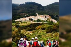 1_49- Isole della toscana -   Isola d'Elba