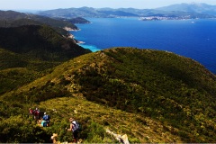 28- Isole della toscana -   Isola d'Elba.-Sul-Sentiero-N°-61