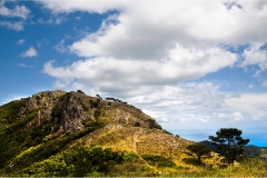 2_42- Isole della toscana -   Isola d'Elba