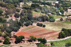 2_90- Isole della toscana -   Isola d'Elba