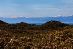 42. - Isole della Toscana - Capraia - Vista-sulla-Corsica