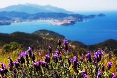 69- Isole della toscana -   Isola d'Elba