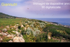 6c Isole della toscana - Giannutri