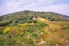 7-1  Isole della toscana - Giannutri