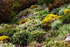 87- Isole della toscana -   Isola d'Elba