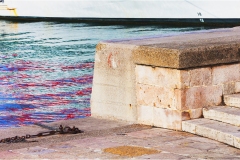 03 Livorno : Porto e quartiere Venezia