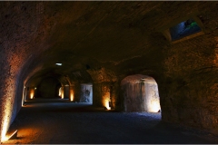 22 Livorno : Porto e quartiere Venezia