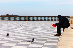 232  Livorno : Porto e quartiere Venezia