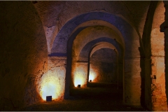 24 Livorno : Porto e quartiere Venezia