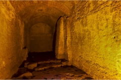 26 Livorno : Porto e quartiere Venezia