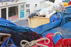 40 Livorno : Porto e quartiere Venezia