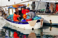 42 Livorno : Porto e quartiere Venezia