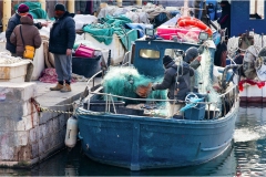 46 Livorno : Porto e quartiere Venezia