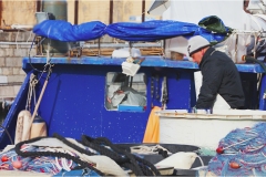 48 Livorno : Porto e quartiere Venezia