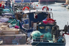 50 Livorno : Porto e quartiere Venezia