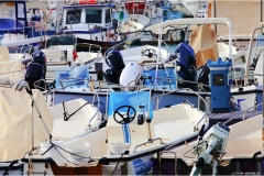 66 Livorno : Porto e quartiere Venezia