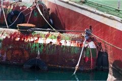 70 Livorno : Porto e quartiere Venezia