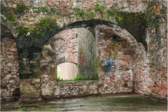 15-  Lucca sotto le mura