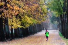 23- Lucca -Le-Mura