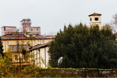 28- Lucca-Torre-Giunigi