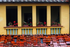 34- Lucca-Rione-Pelleria