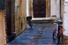 74-Lucca-Colti-al-volo