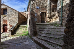 116--  Maremma  - -  Chiusdino 