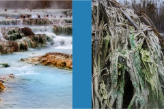 Maremma  -  Saturnia