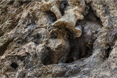 Maremma  -  Saturnia