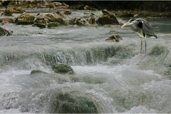Maremma  -  Saturnia