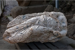 Maremma -  Sovana - Vie fonde e museo