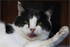 Maremma  -  Saturnia