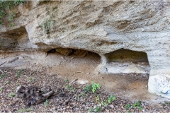 GMaremma -  Sovana - Vie fonde e museo