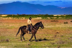 Maremma  -  Pitigliano