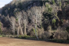 Maremma -  Sovana - Vie fonde e museo