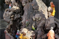 Maremma  -  Pitigliano