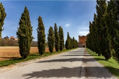 Maremma -  Chiusdino-